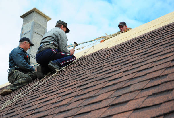 Best Roof Gutter Cleaning  in Arizona City, AZ