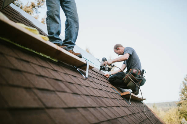 Roofing Contractor